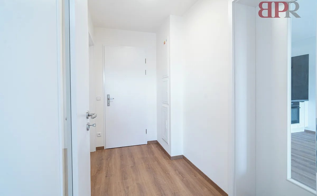 Předsíň a chodba bytu